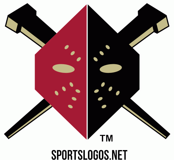 wheeling nailers 2005-2012 primary logo iron on transfers for T-shirts